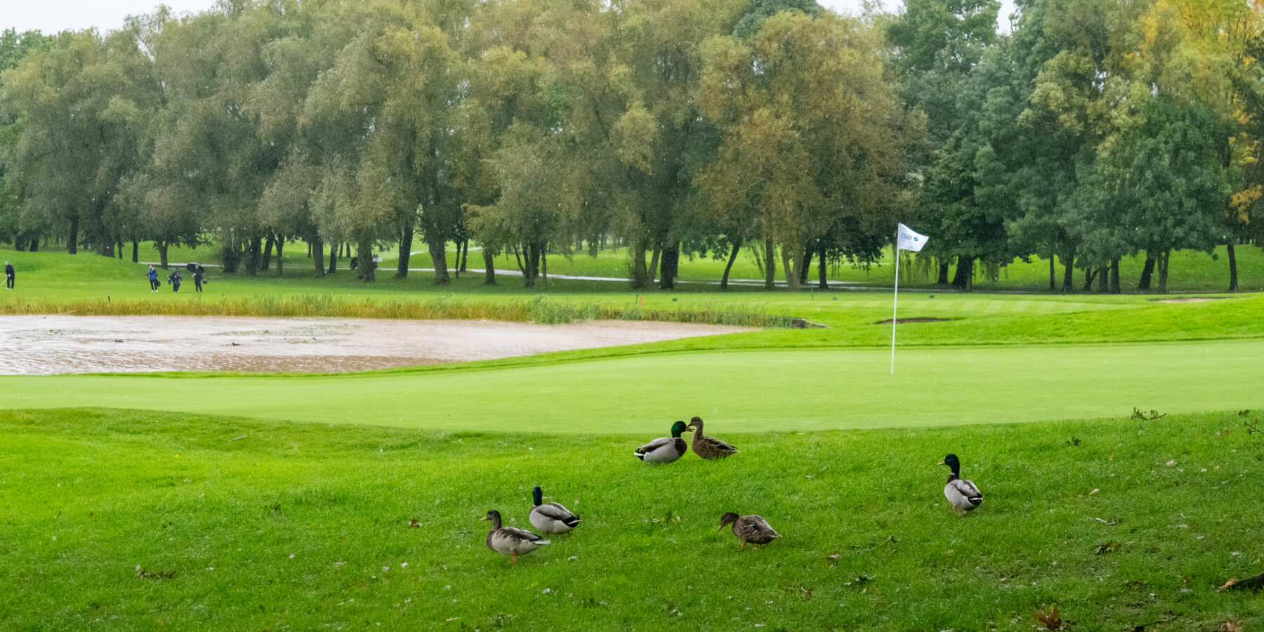 Mellon Educate Charity Golf Classic 2024 The Belfry Brabazon Course